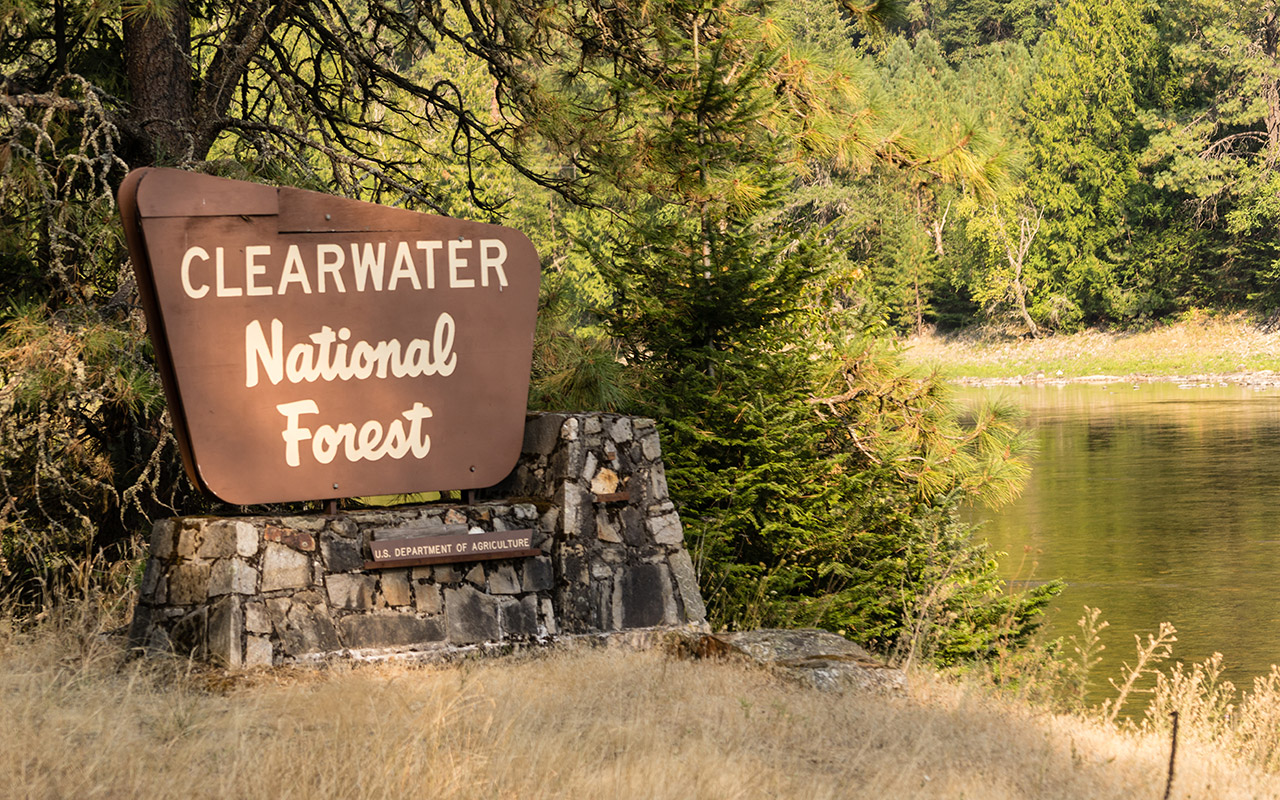 Clearwater National Forest