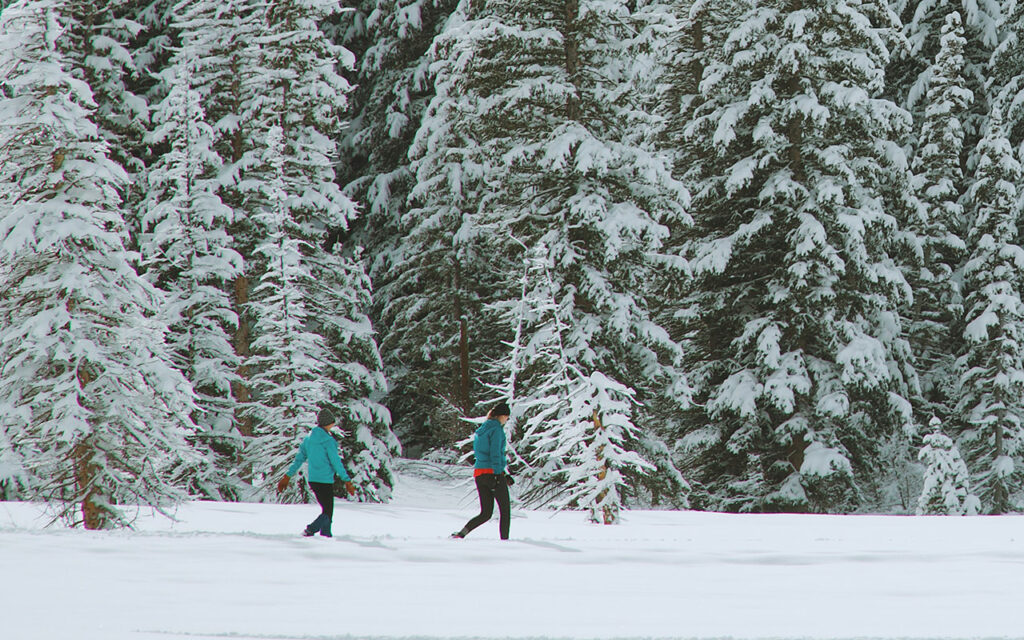 snowshoeing