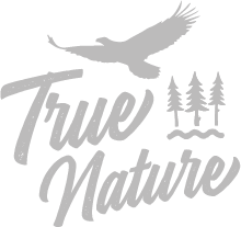 True Nature True Nature