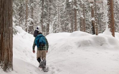 Best Snowshoeing Trails Near Lochsa Lodge