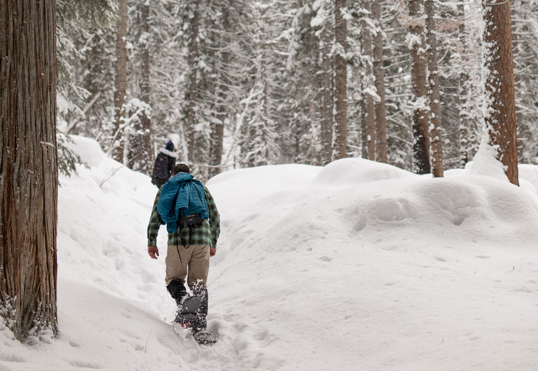Man snowshoeing through the trees in a couple feet for snow