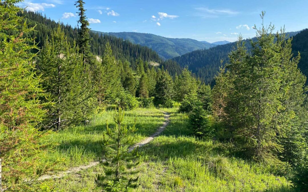 Hiking trail