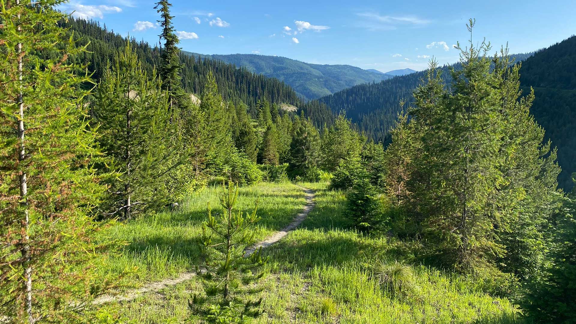 Hiking trail