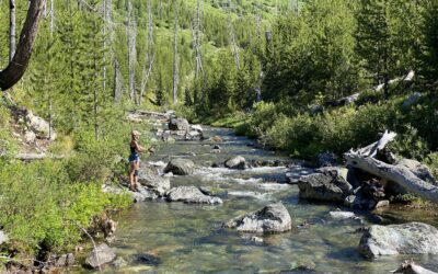 Fly Fishing the Lochsa River: What You Need To Know