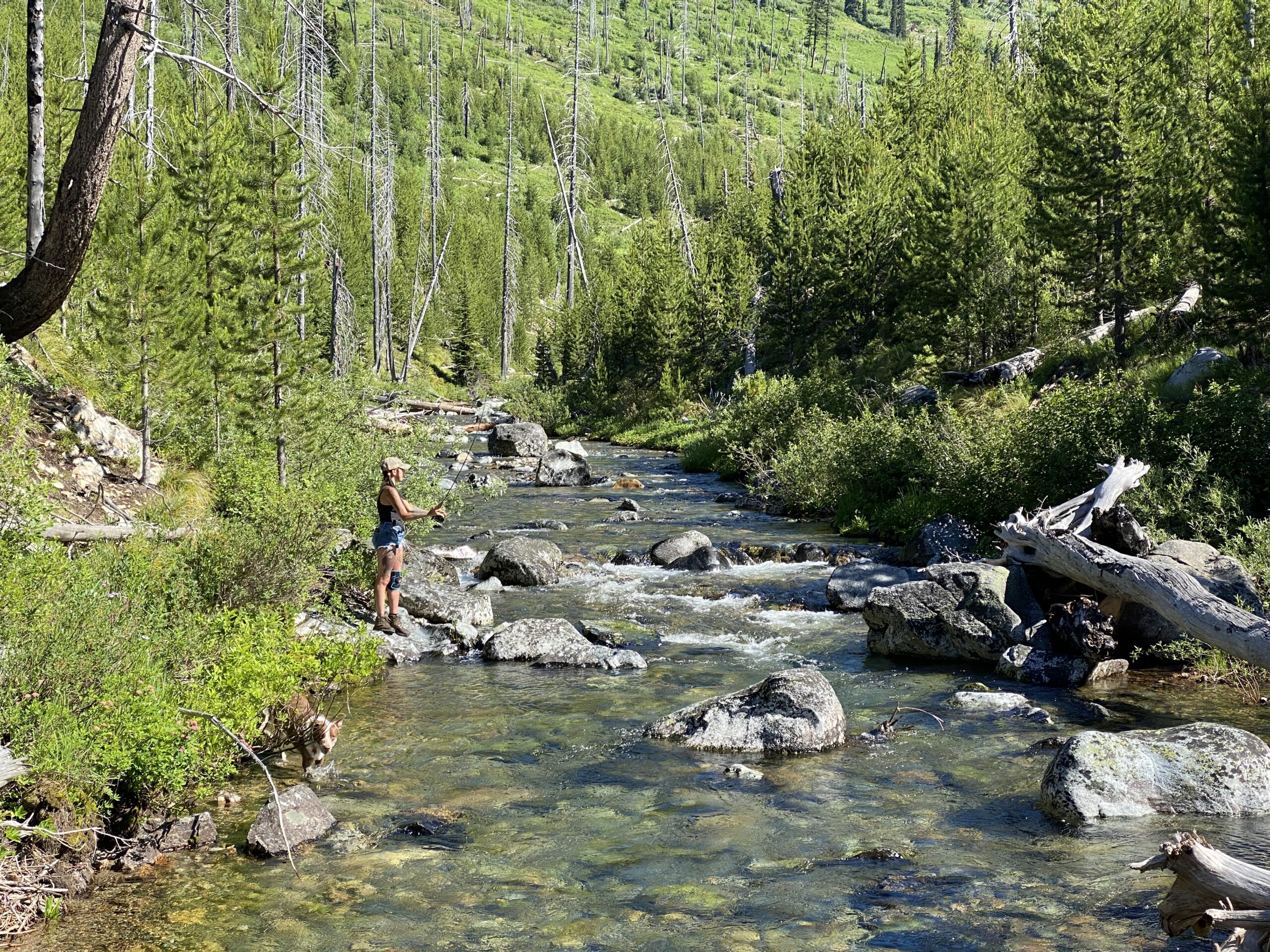 Fly fishing the Lochsa River