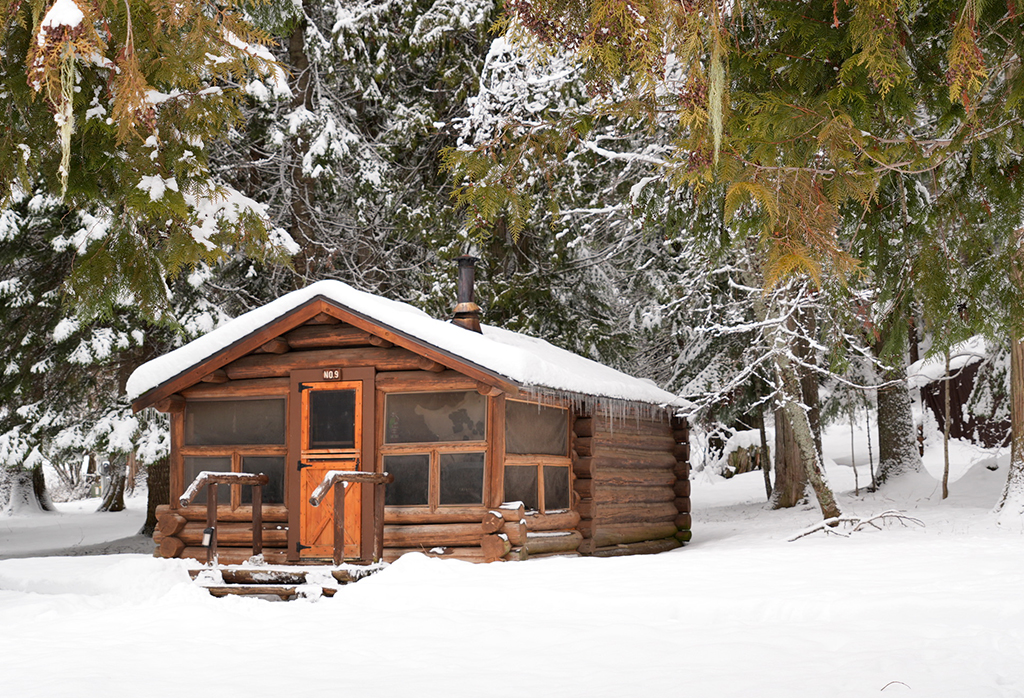 cabinno9-snowandtress Cabin 10
